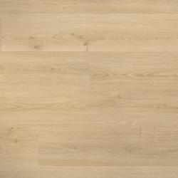 Obr�zok (5)